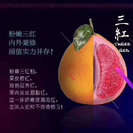 平和县平和蜜柚 正宗平和三红蜜柚！果园直供，现摘现发！挡不住的‘柚’惑！