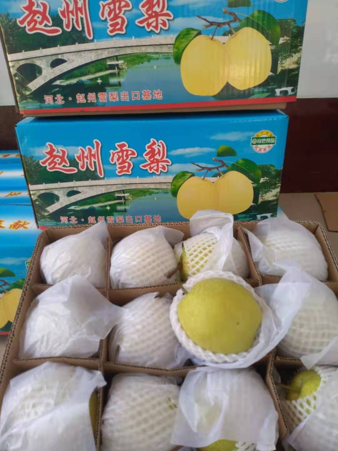  商品梨罐头梨价格低货源充足量大望广大客商前来采购