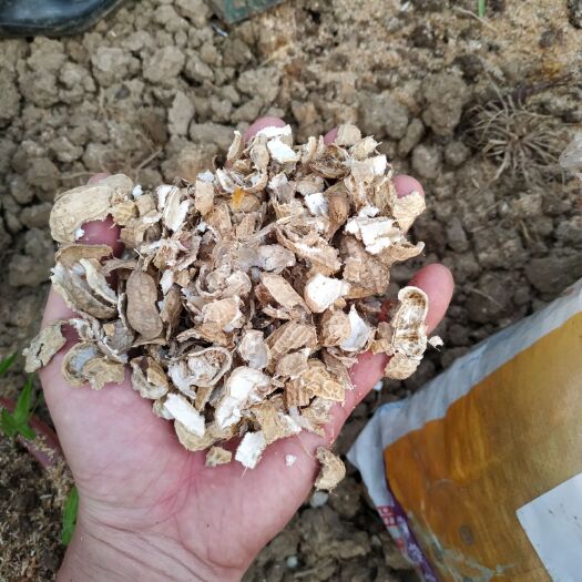 阳江 花生壳