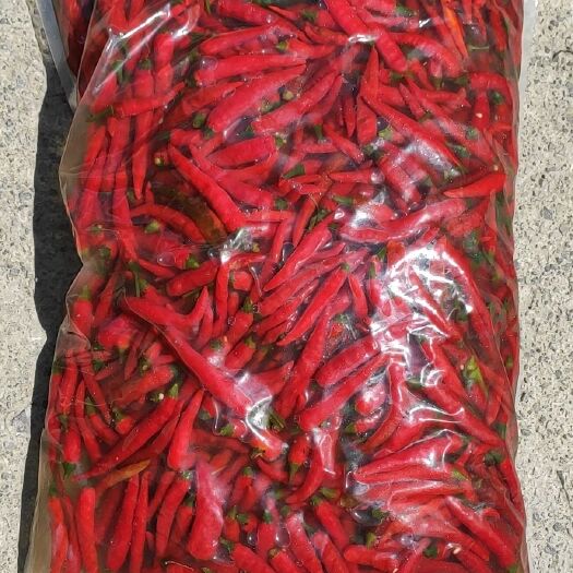 重庆市 批发泡椒