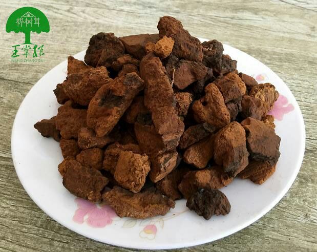 兴县 褐桦孔菌一桦树茸