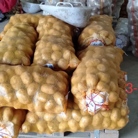 钟祥市 3-6两v 7土豆精品
