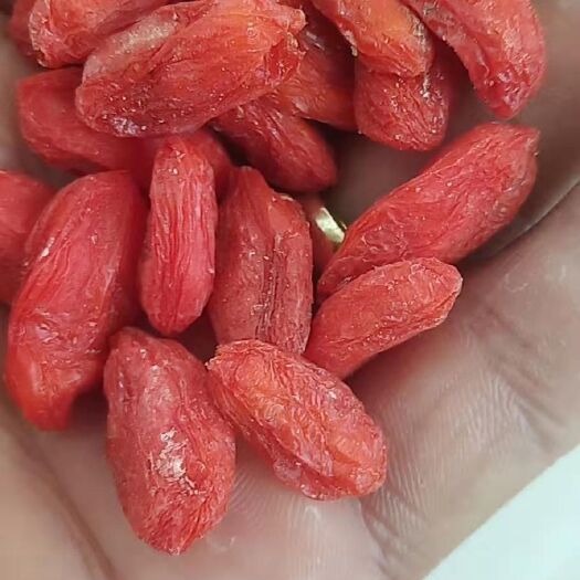 白银 天然靖远枸杞