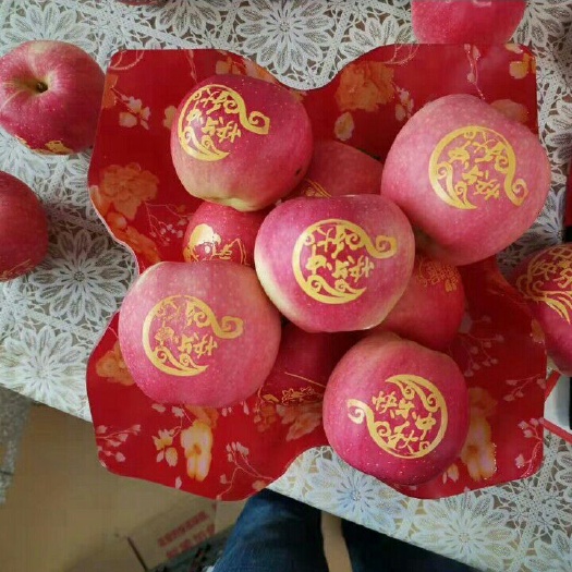 昌乐县无纺布袋 大量供应纸袋红星