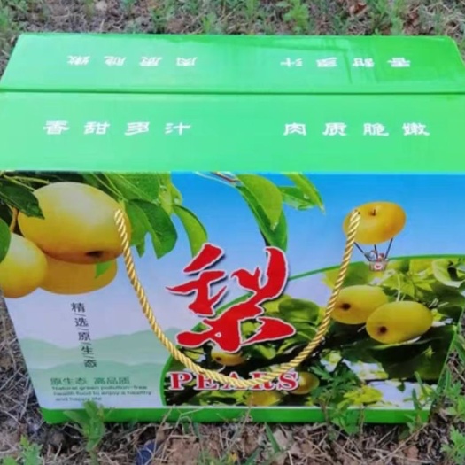 遵化市 京白梨