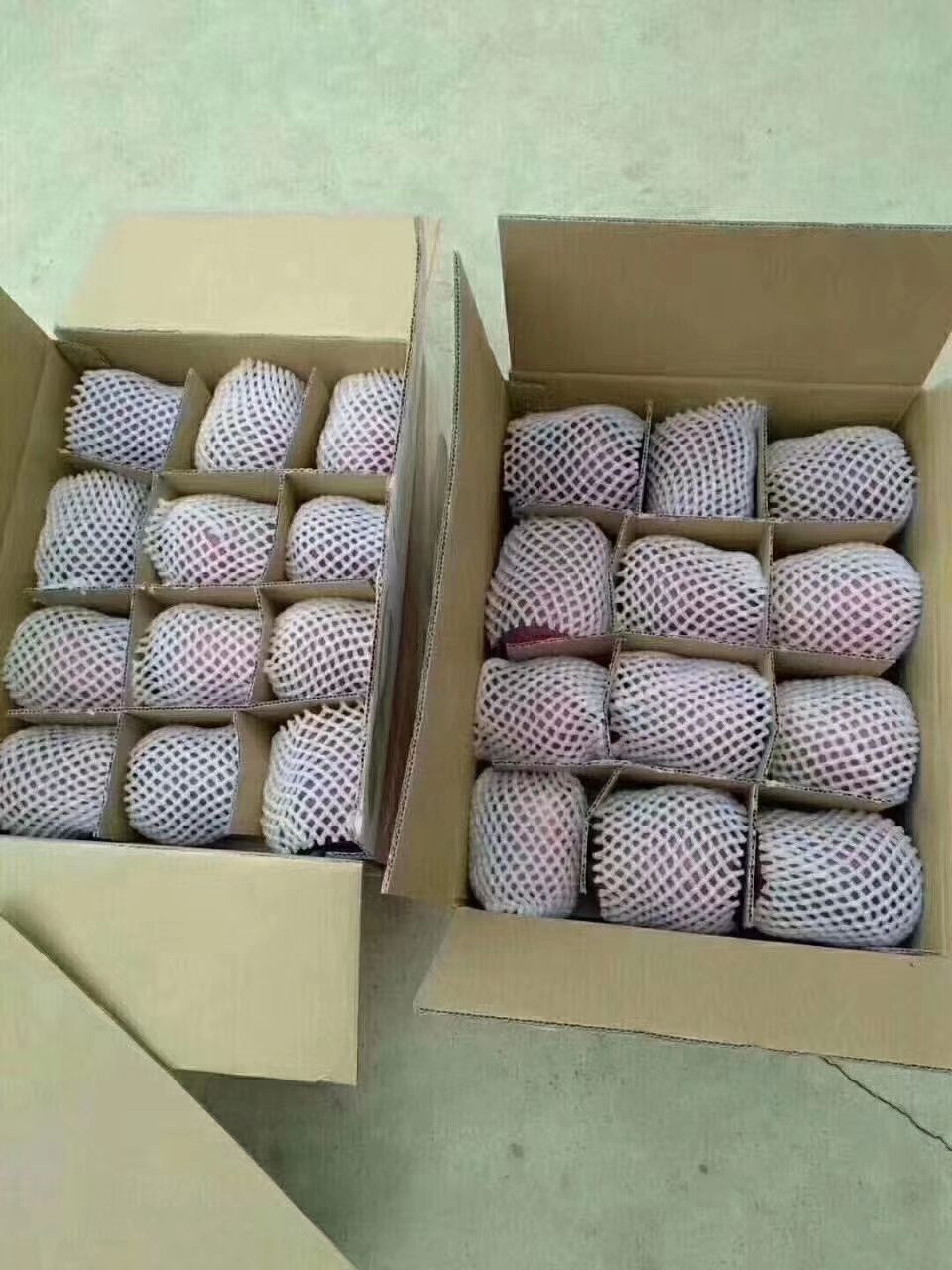  甘肃天水花牛苹果，果园现摘全国各地发货