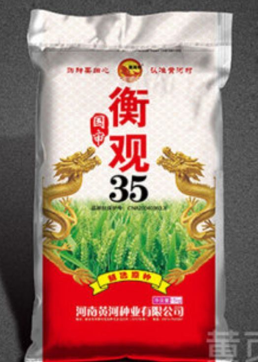 商河县小麦种子 国审铁杆节水抗寒高产小麦新品种