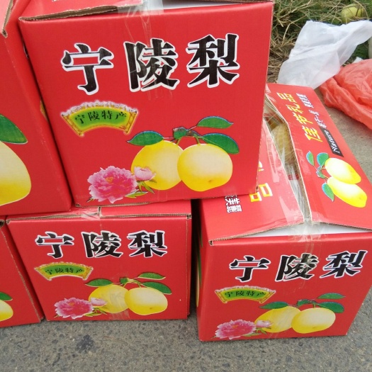 宁陵县 宁陵酥梨，酥脆可口，汁多甘甜，皮薄核小，含糖高，水果之精品