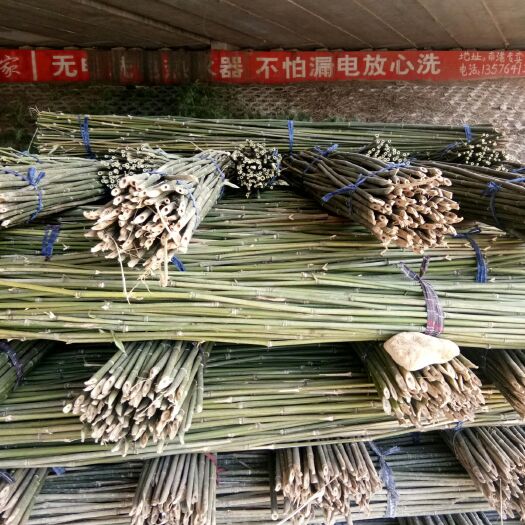  2米到六米菜架竹