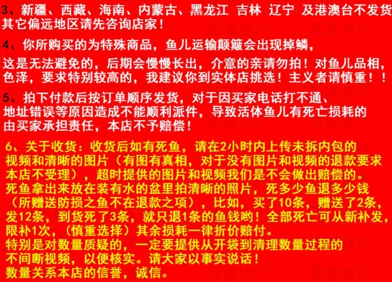  泥鰍苗，活體 批發(fā)泥鰍苗  寸苗4～6公分水花苗