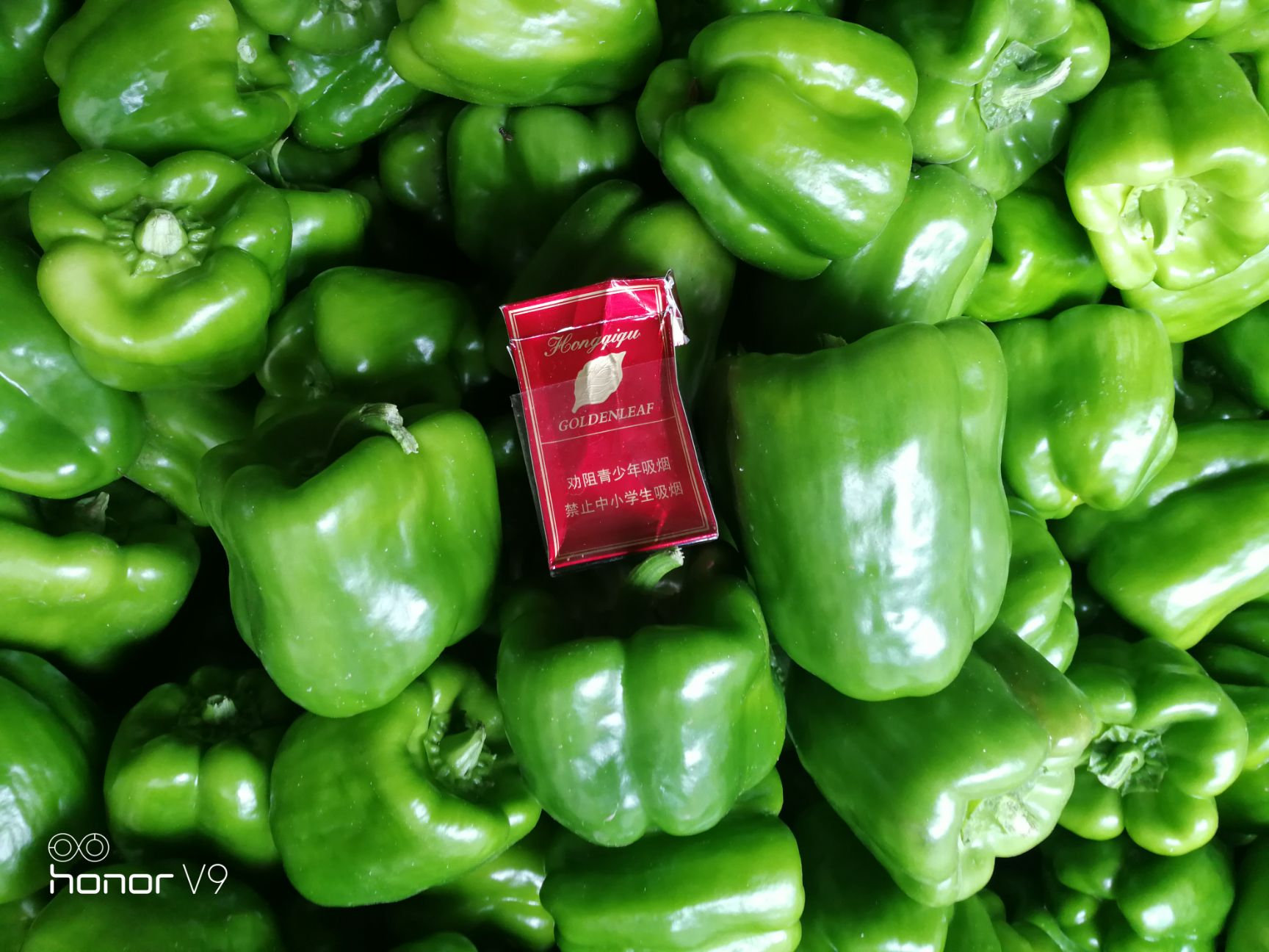  尖椒圆椒茄子豆角大量上市需要的联系我