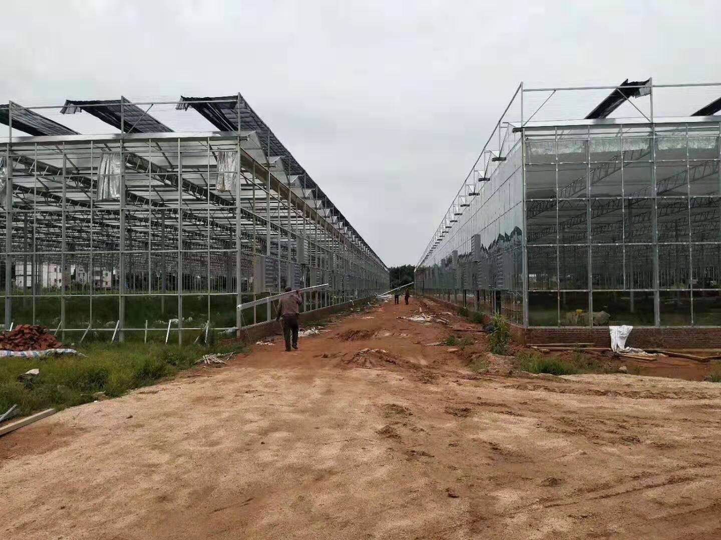 玻璃温室大棚 外形美观，透光性强，抗腐蚀能力强，具有很强的抗风雪能力，
