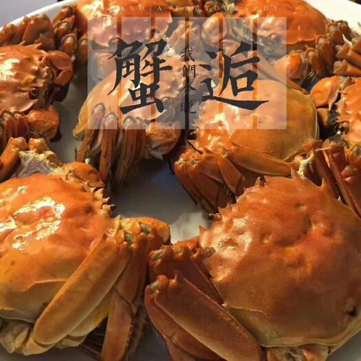 洪湖市洪湖市大闸蟹  优良水质无污染湖区养殖
