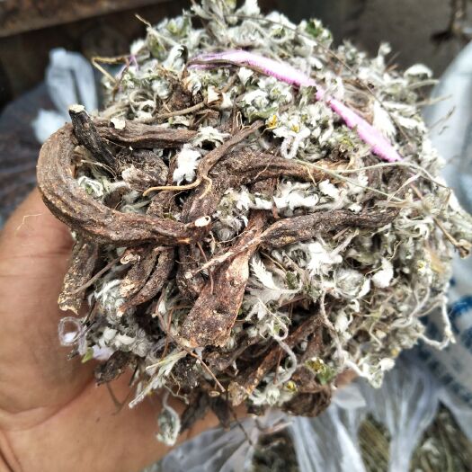 亳州翻白草 ，正品，高含量