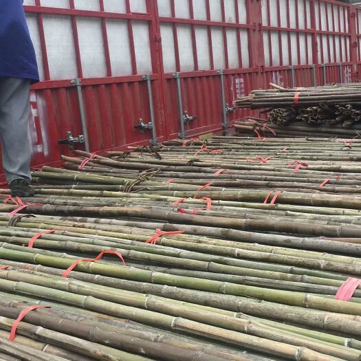 大棚杆 大棚竹竿