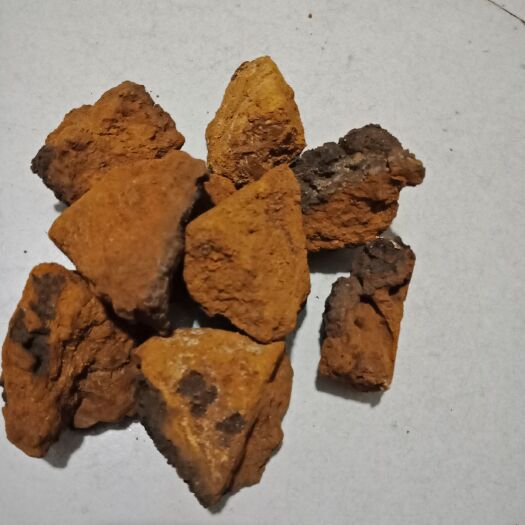 安国市 桦树茸白桦茸正品特级俄罗斯白桦茸
千年药都祁州安国发货