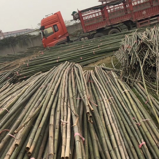 架菜竹 菜架竿