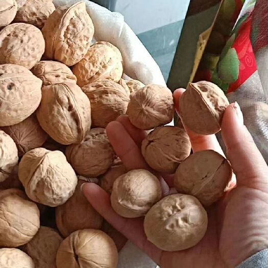 中牟县 新疆薄皮核桃，纯大个头幸福薄皮品种，手捏继开