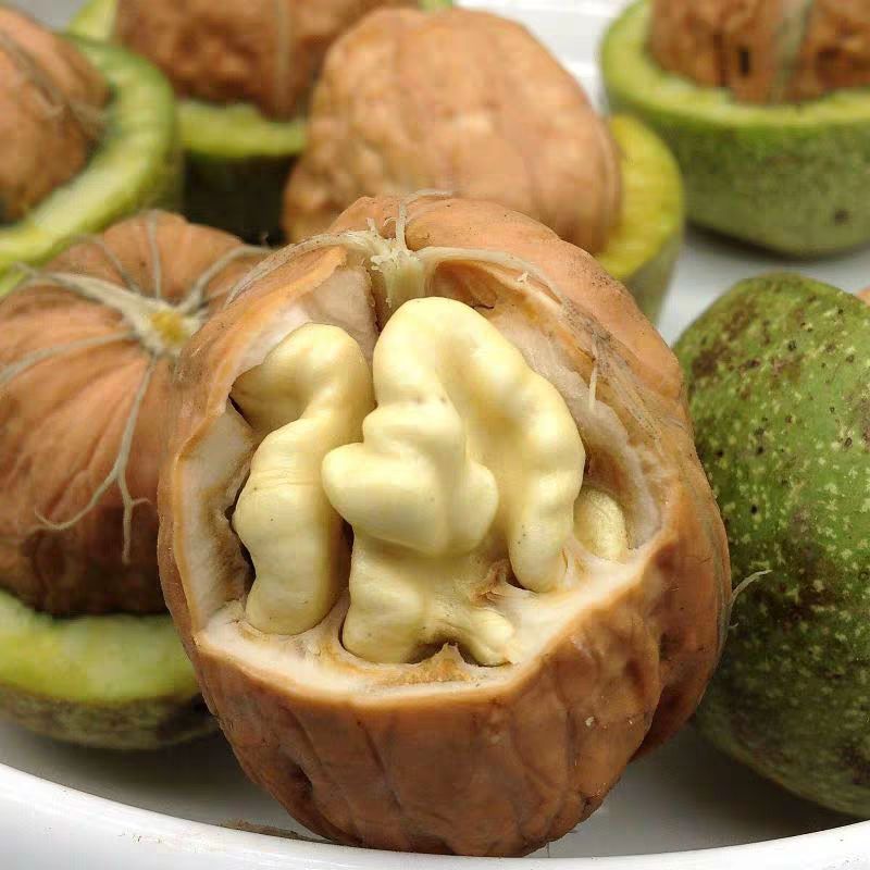 陕西秦岭老树核桃，油香油香的！