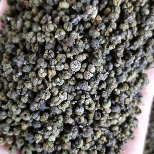 河池吴茱萸 广西中花小颗粒(已过4号筛)