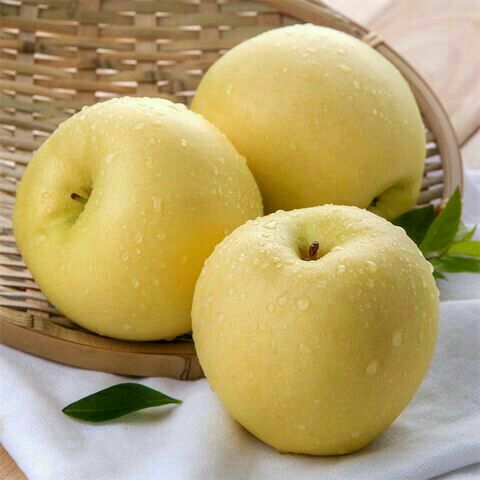  绥中黄元帅苹果代收，75起步，杨氏果业