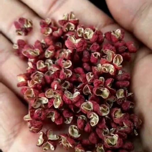 韩城市大红袍花椒无药残，无杂质，开口率98%  梅花花椒