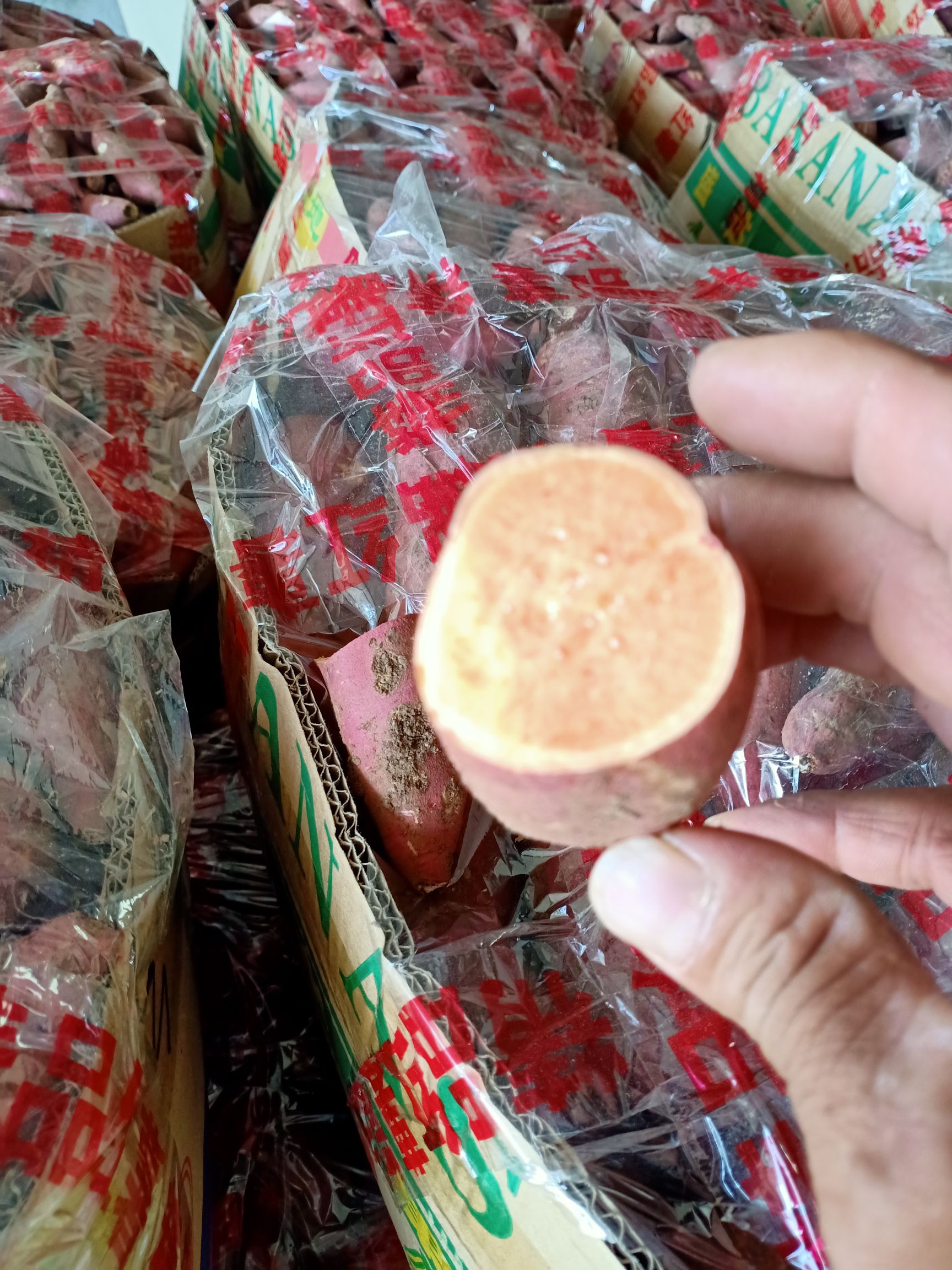 明光市自来桥镇西瓜红苏八红薯大量上市了，口感好吃，品质好，