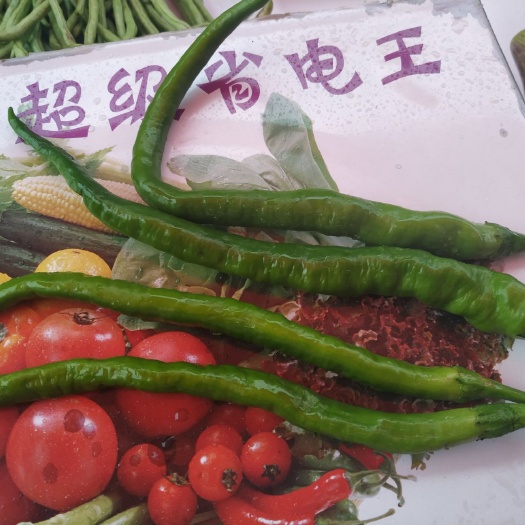 成都二荆条辣椒 辣得有味道不吃不知道∵