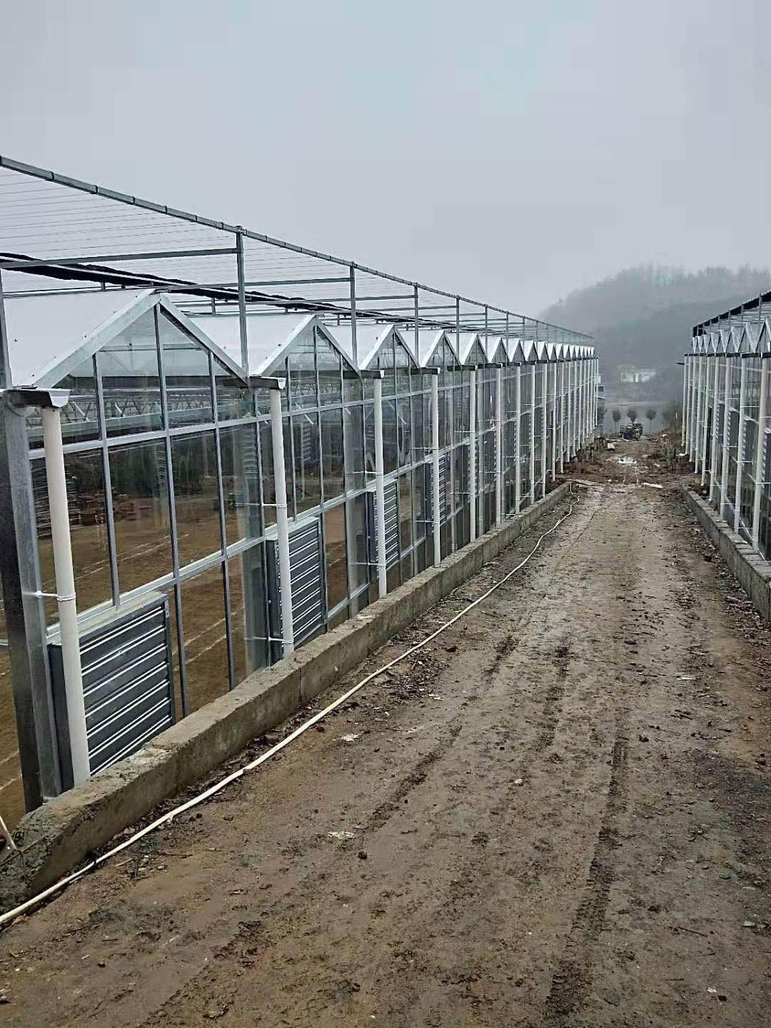 玻璃温室大棚 外形美观，透光性强，抗腐蚀能力强，具有很强的抗风雪能力，