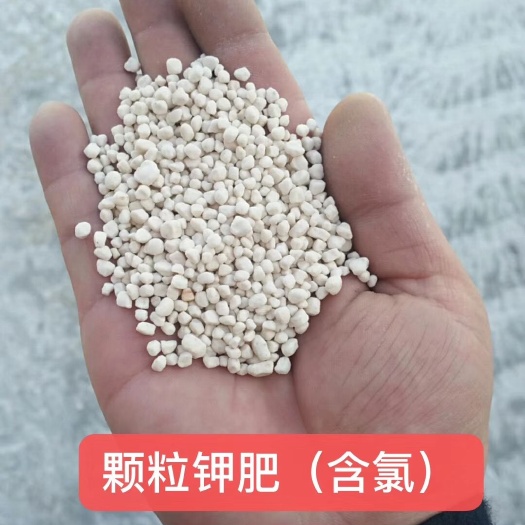格尔木市钾肥  青海美格钾业有限公司携全体员工祝大家节日快乐！天天好