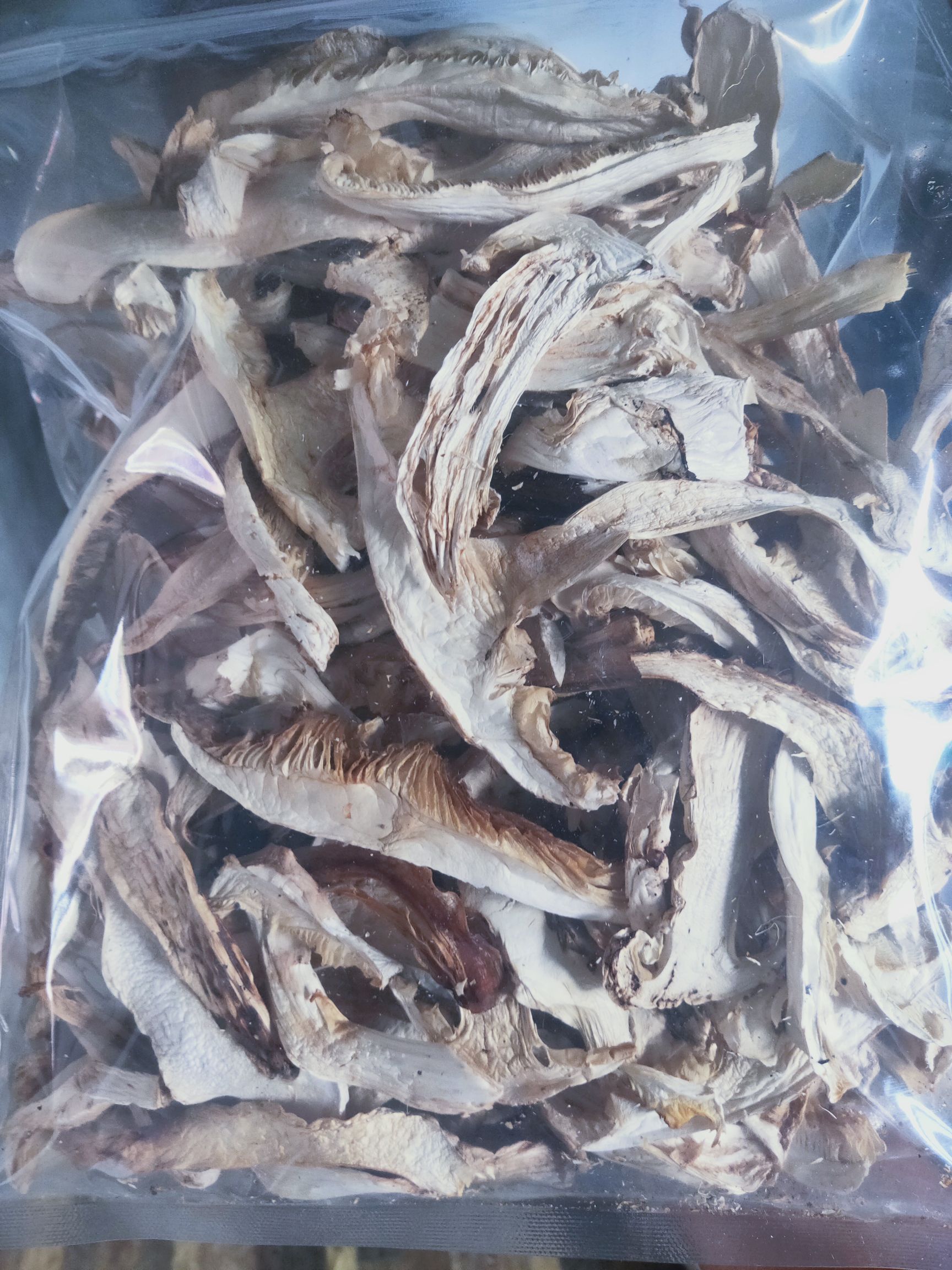 干松茸 干货 9cm-12cm 半开伞 