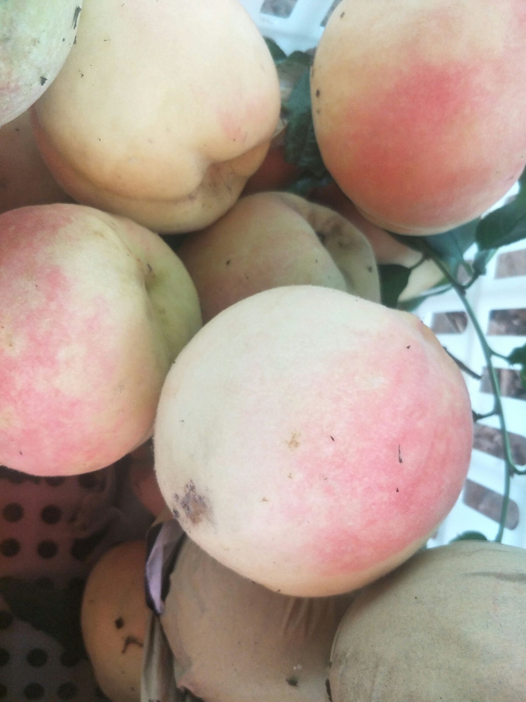 红杨桃 香脆可口大桃