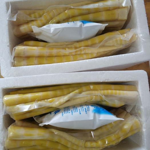雅安野生竹笋 四川雅安高山野生鲜笋牛尾笋现采真空加盐现发冰袋泡沫箱发货
