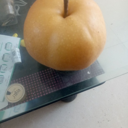 莱州市 优质南水梨口感好望广大客户选购