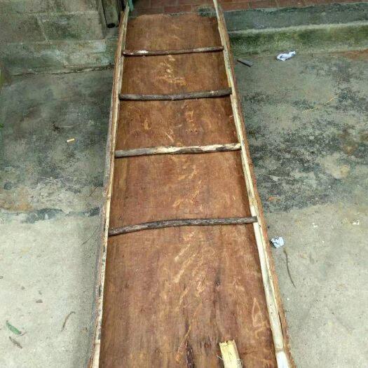 平南县 桂皮肉桂玉桂广西平南六陈特级桂皮油桂中药材肉桂皮香料调料卤肉