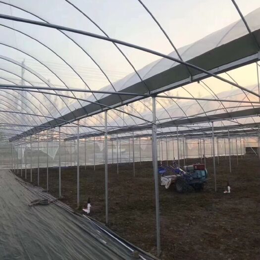 鹤峰县椭圆管骨架 椭圆管大棚