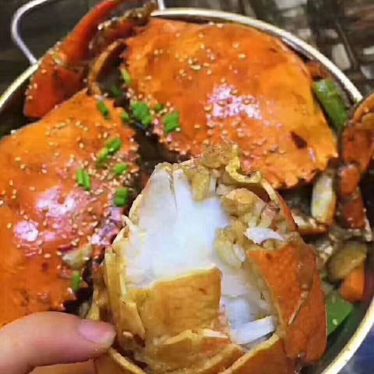 三门县浙江三门青蟹 小鱼小虾喂养 美味佳肴 肉质嫩滑