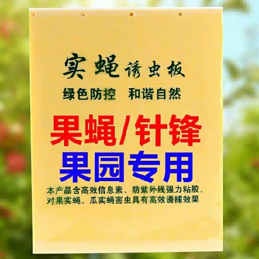 曹县诱蝇球  果实蝇诱粘板瓜果诱蝇剂瓜实蝇粘板大食蝇粘蝇板黏诱捕喷剂针蜂