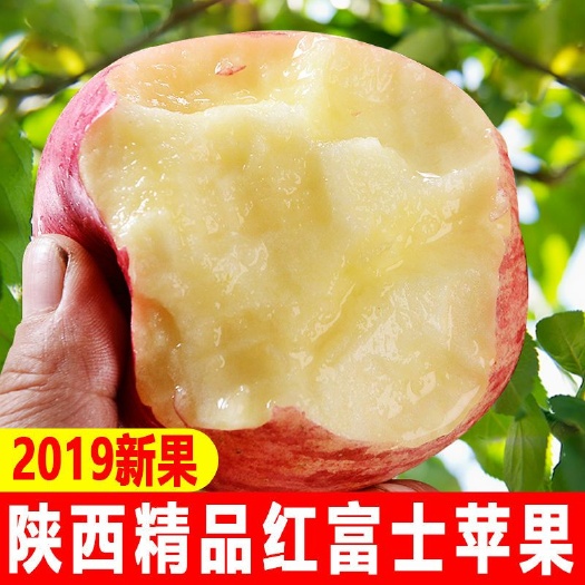 铜川 红富士苹果