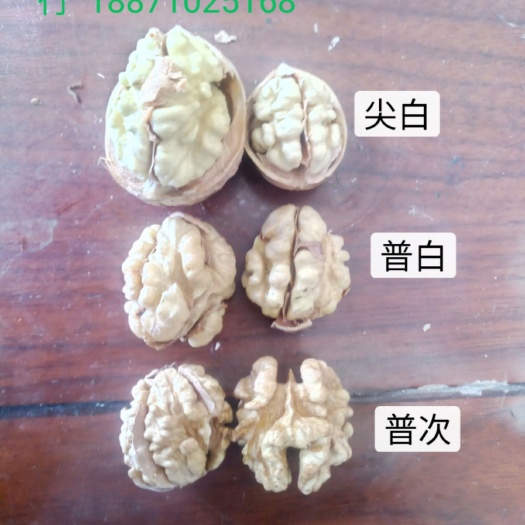 老河口市纸皮核桃 2019温185纯度98%精选商品果 尖白仁大货
质量好