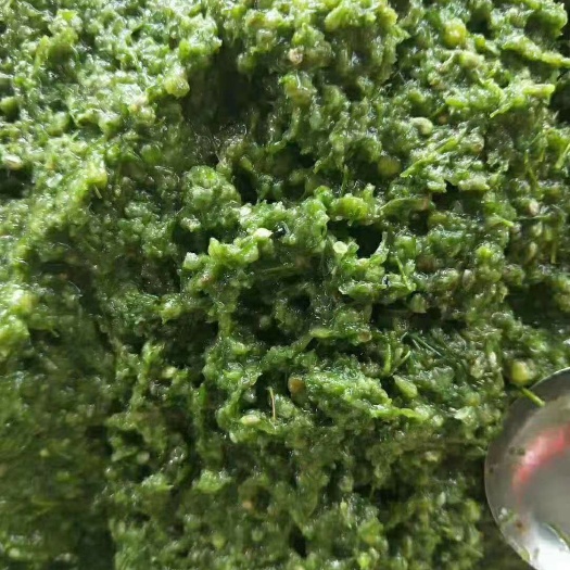锡林浩特韭花酱  锡林郭勒大草原野生韭菜花酱