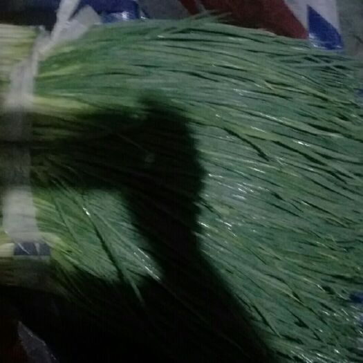 十堰 香葱