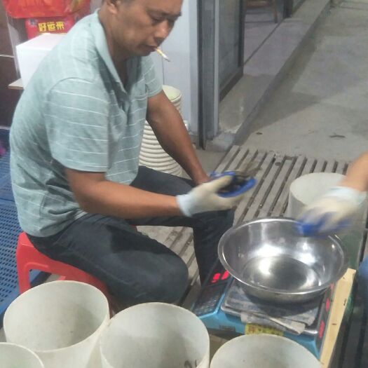 兴化市 兴化大闸蟹批发