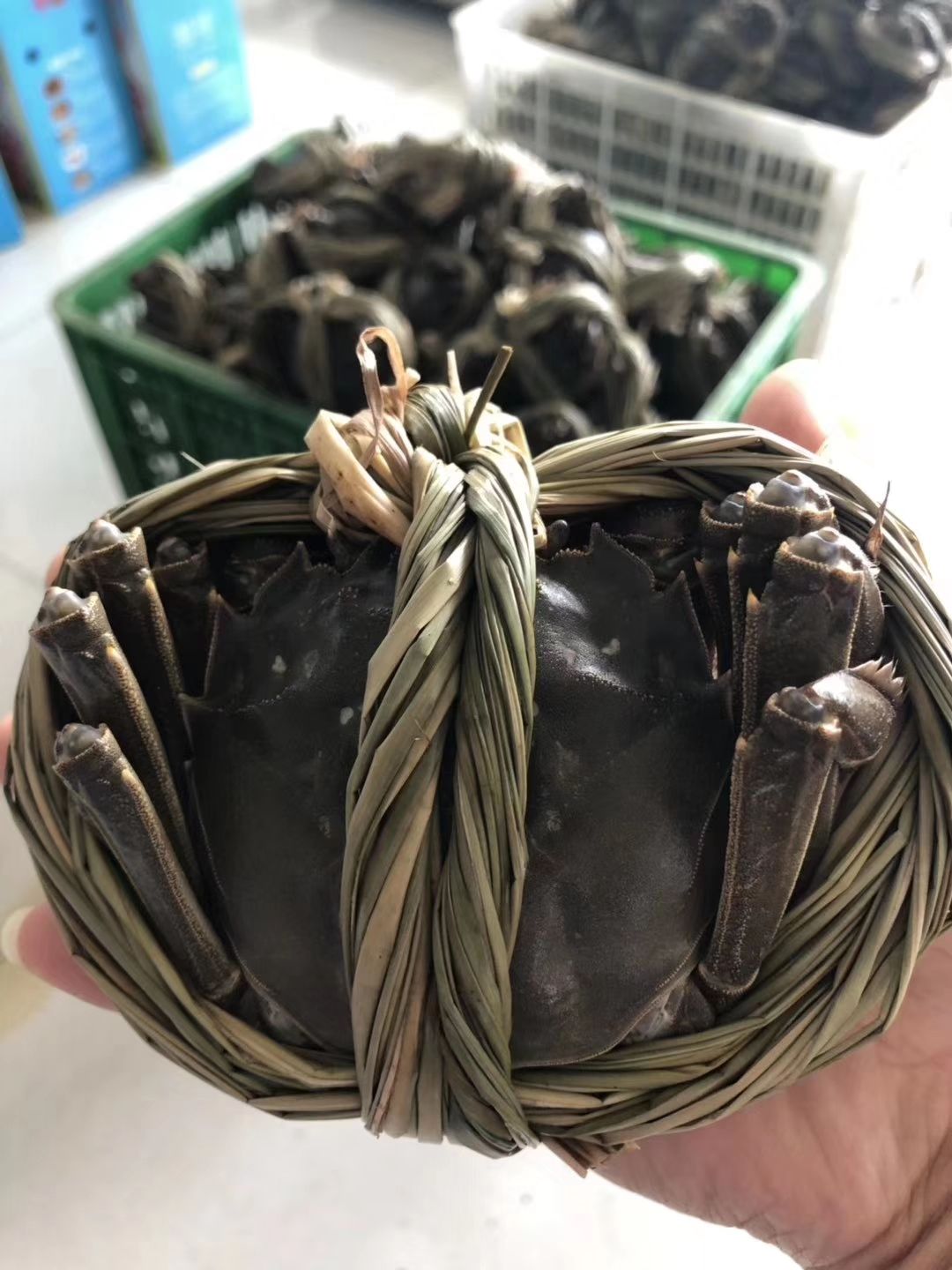  精品大闸蟹