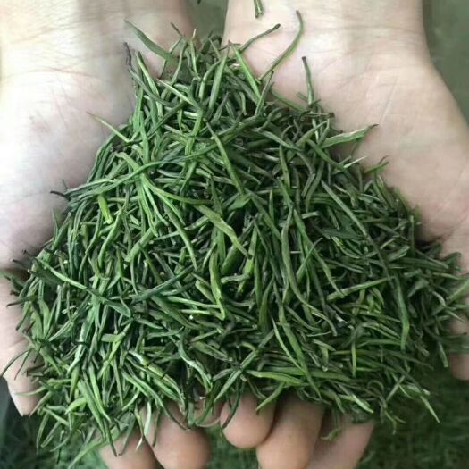 湄潭县毛尖茶  2022新茶叶湄潭翠芽绿茶雀舌明前特级贵州龙井春季