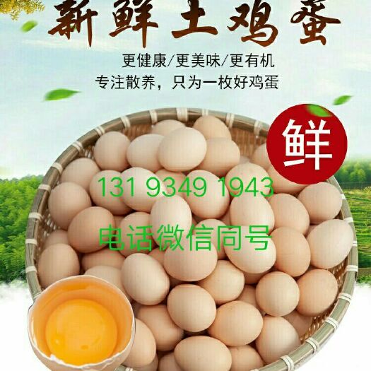 鹤壁 土鸡蛋 高品质蛋 营养蛋 乳酸菌鸡蛋 代发 定制