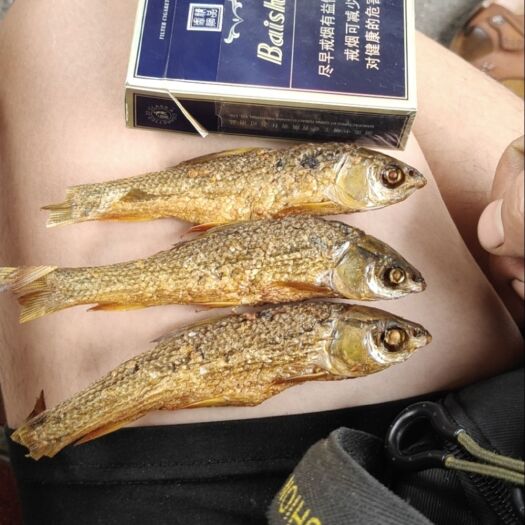 衡阳小鱼干 麦O鱼干