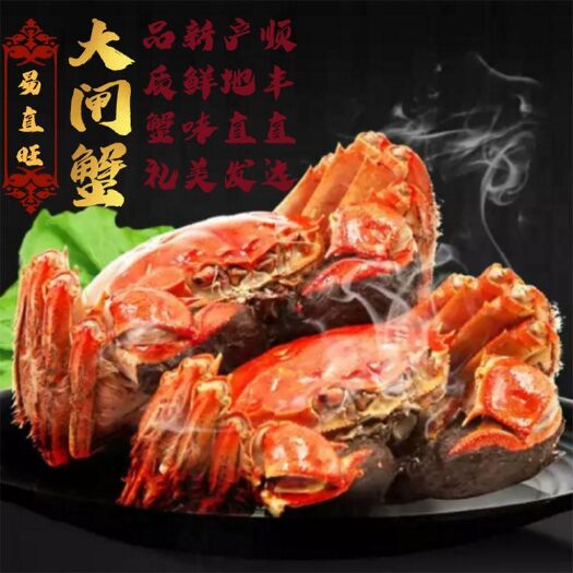 乐昌市 金易旺大闸蟹  全国一代发 企业团购  商城合作