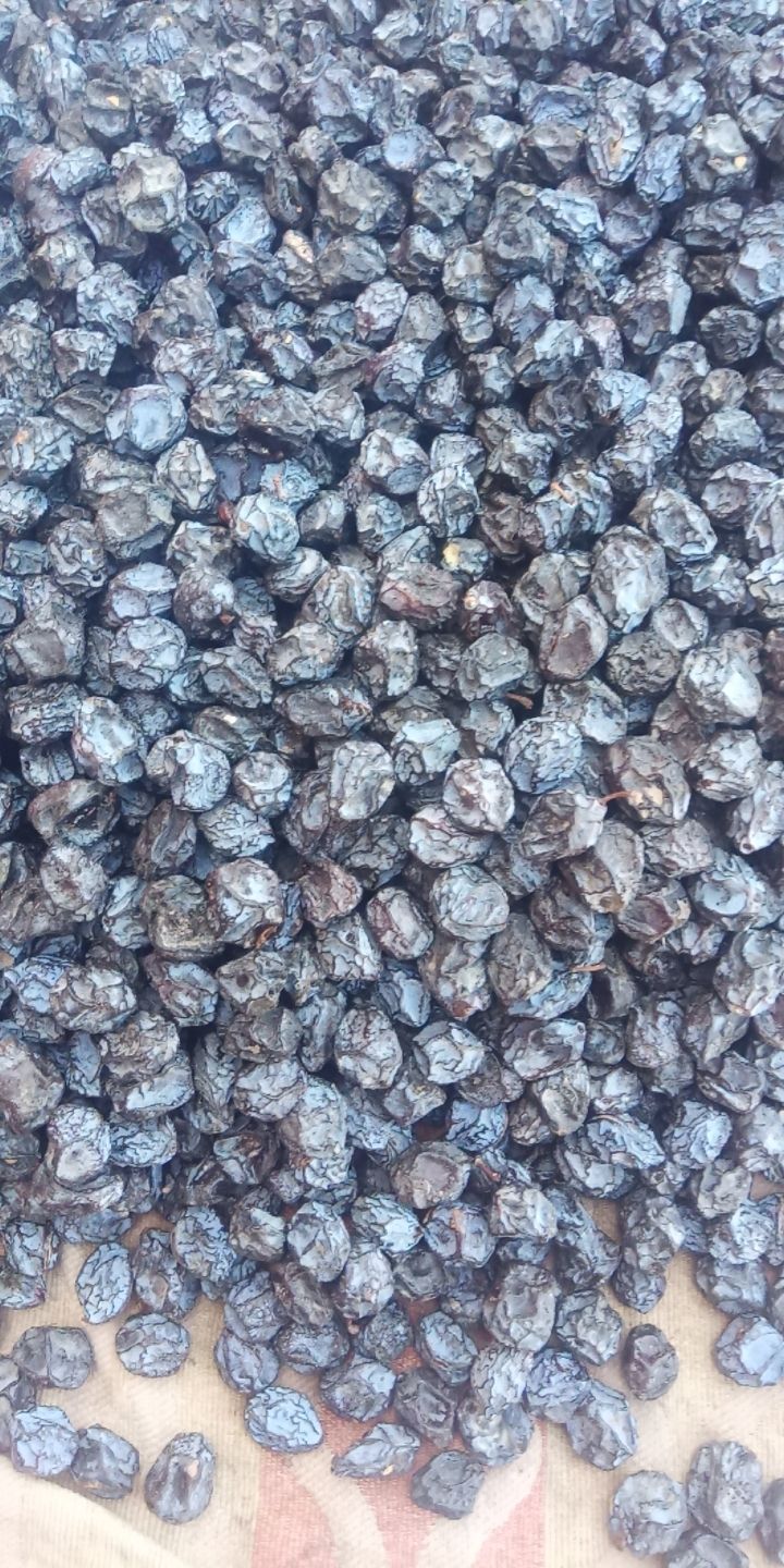 乌梅干 新疆乌梅，未加工，，价格实惠。