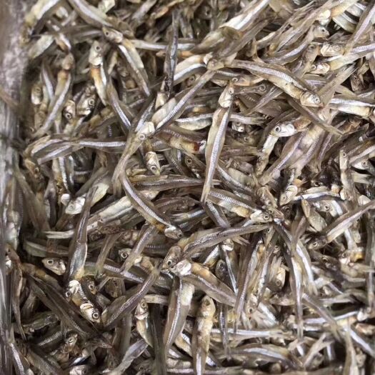 广州 小鱼干 小海鱼干 市场跑量王